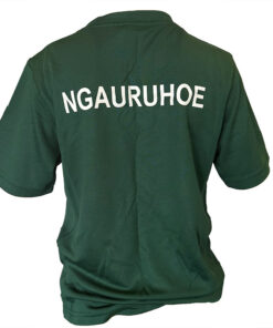 House Shirt - Ngauruhoe (Green)
